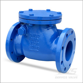 DIN 3356 Cast Iron Check Valve, GJL250, 4 Inch